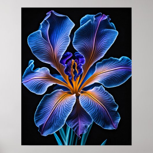 Blue Lily Poster (Vorne)