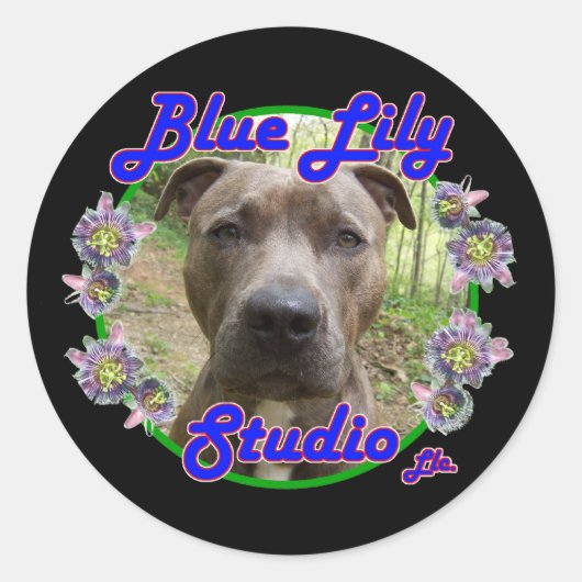 Blue Lily Studio Aufkleber (Vorderseite)