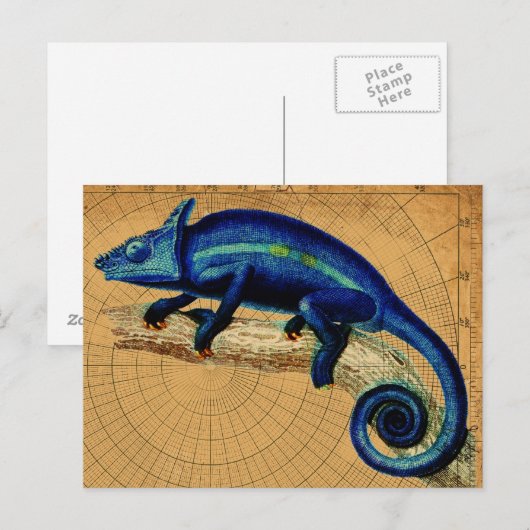 Blue Lizard Postkarte (Vorne/Hinten)