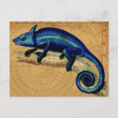 Blue Lizard Postkarte (Vorderseite)