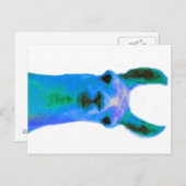 Blue Llama Graphic Postkarte (Vorne/Hinten)
