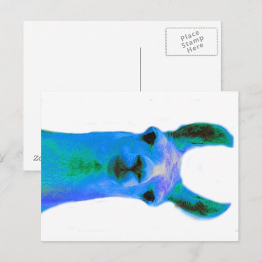 Blue Llama Graphic Postkarte (Vorne/Hinten)