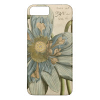 Blue Lotus Blume auf Tan Hintergrund mit Schreiben