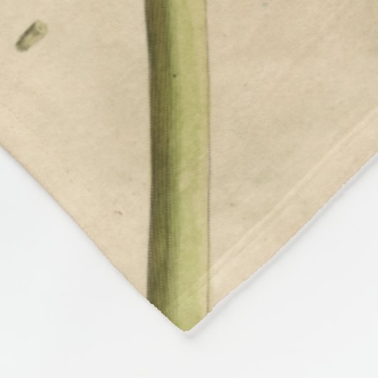 Blue Lotus Blume auf Tan Hintergrund mit Schreiben Fleecedecke (Ecke)