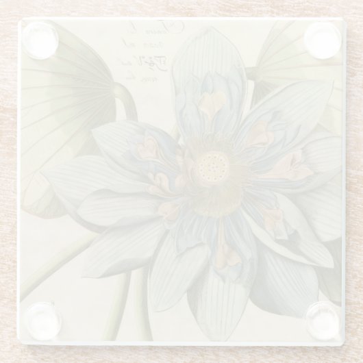 Blue Lotus Blume auf Tan Hintergrund mit Schreiben Glasuntersetzer (Rückseite)