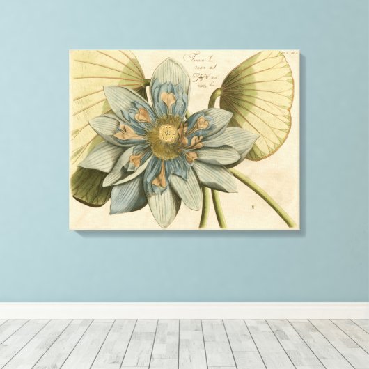 Blue Lotus Blume auf Tan Hintergrund mit Schreiben Leinwanddruck (Insitu (Holzboden))