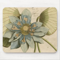 Blue Lotus Blume auf Tan Hintergrund mit Schreiben
