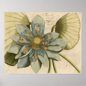 Blue Lotus Blume auf Tan Hintergrund mit Schreiben Poster (Vorne)