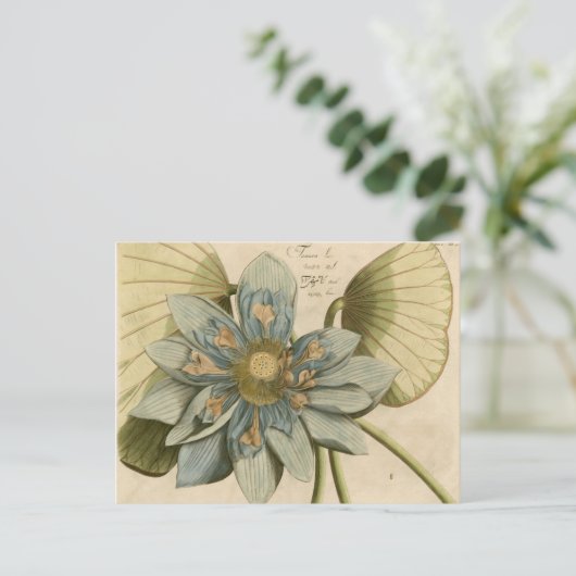 Blue Lotus Blume auf Tan Hintergrund mit Schreiben Postkarte (Stehend Vorderseite)