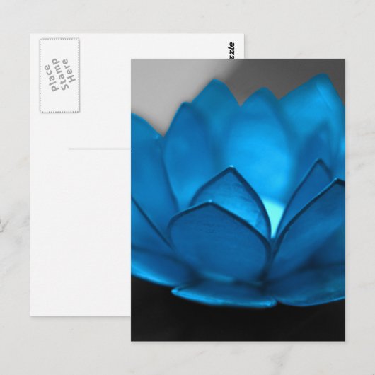 Blue Lotus Blume Postkarte (Vorne/Hinten)