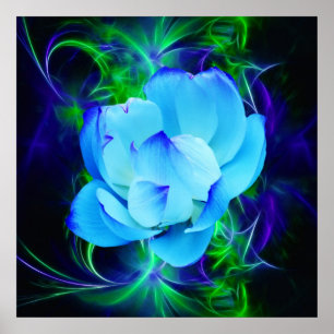 Blue lotus Blume und ihre Bedeutung Poster