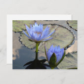 Blue Lotus Duet Postkarte (Vorne/Hinten)