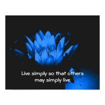 Blue Lotus Einfachheit Inspiration Zitat