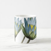 Blue lotus(Nymphaea caerulea) von Redouté Kaffeetasse (Mittel)