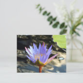 Blue Lotus Postkarte (Stehend Vorderseite)