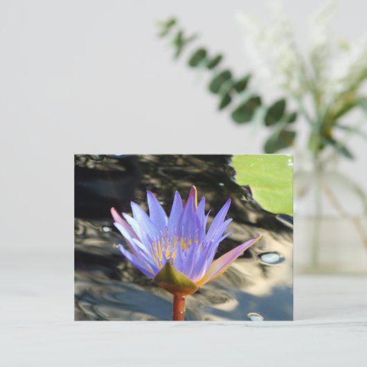 Blue Lotus Postkarte (Stehend Vorderseite)