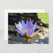 Blue Lotus Postkarte (Vorne/Hinten)