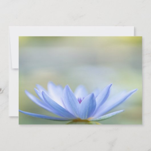 Blue Lotus String Lights Retirement Party Einladung (Rückseite)