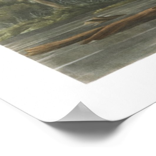 Blue Louisiana Heron Bird Illustrations Poster (Ecke)