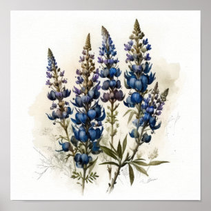 Blue Lupine Blume Art Print Poster