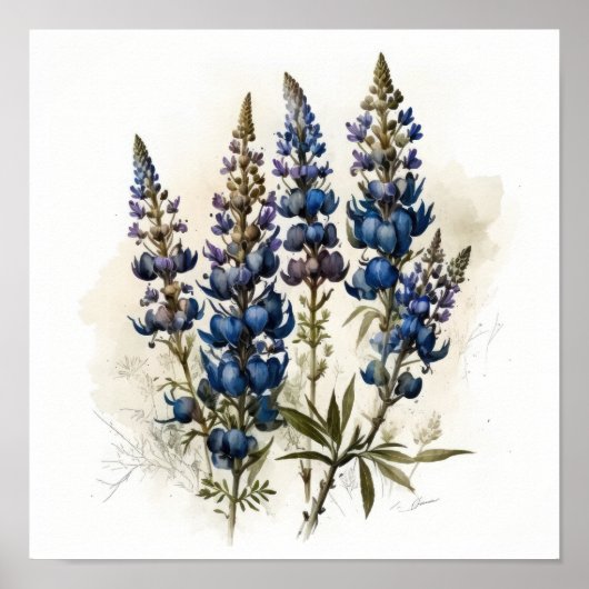 Blue Lupine Blume Art Print Poster (Vorne)