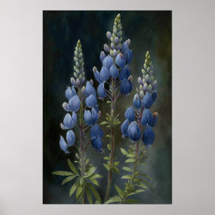 Blue Lupine Blume Art Print Poster