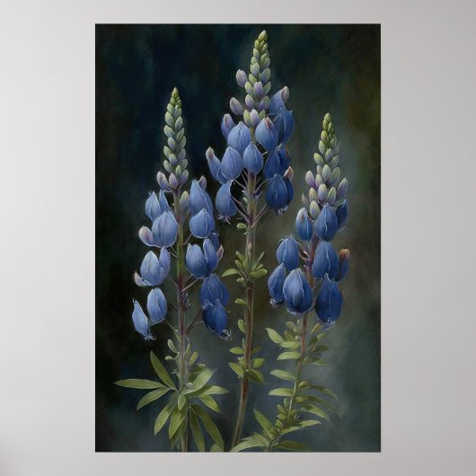 Blue Lupine Blume Art Print Poster (Vorne)
