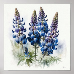 Blue Lupine Blume Art Print Poster