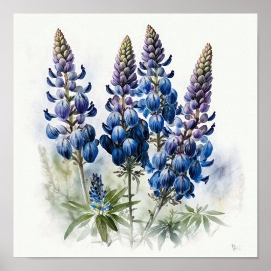 Blue Lupine Blume Art Print Poster (Vorne)