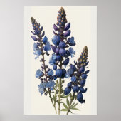 Blue Lupine Blume Art Print Poster (Vorne)