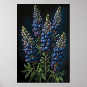 Blue Lupine Blume Art Print Poster