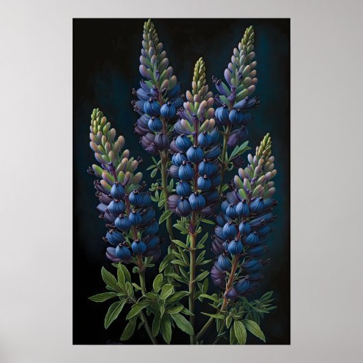 Blue Lupine Blume Art Print Poster (Vorne)