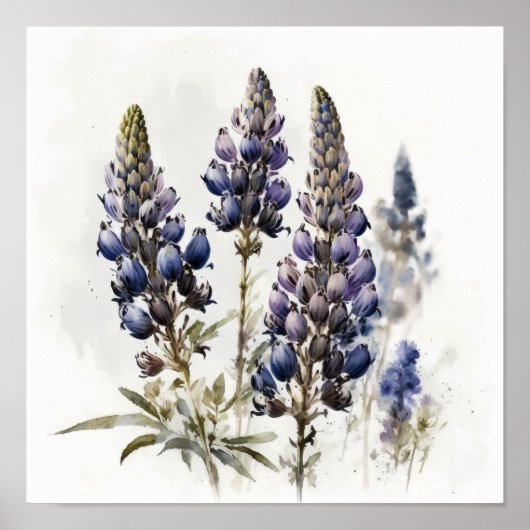 Blue Lupine Blume Art Print Poster (Vorne)