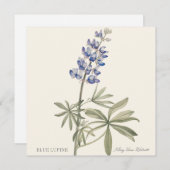 Blue Lupine by Mary Walcott (Vorne/Hinten)