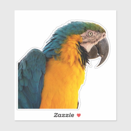 Blue Macaw Aufkleber (Blatt)