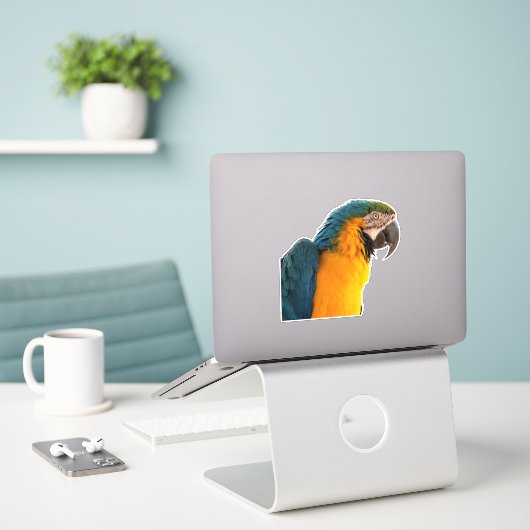 Blue Macaw Aufkleber (Laptop auf Schreibtisch)