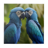 Blue Macaw Fliese (Vorderseite)