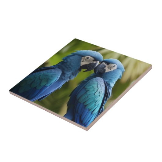 Blue Macaw Fliese (Seite)