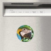 Blue Macaw Parrot Magnet (In Situ (Geschirrspüler))