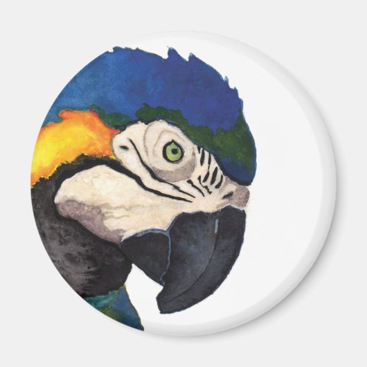 Blue Macaw Portrait Magnet (Vorne)