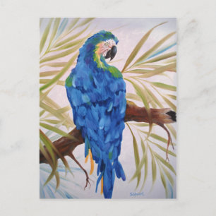 Blue Macaw Post Card Postkarte