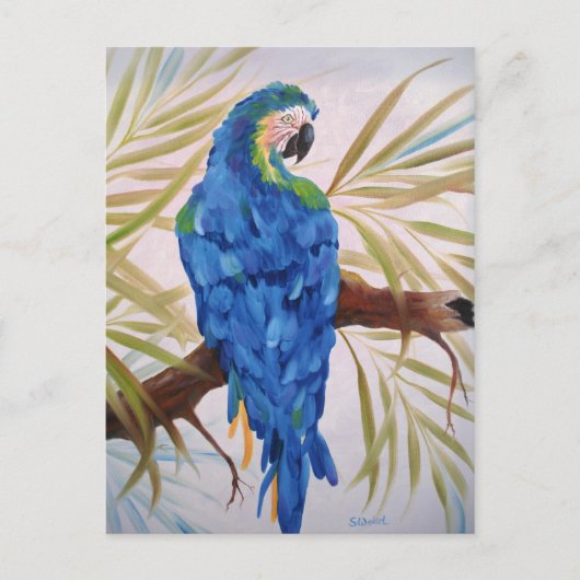 Blue Macaw Post Card Postkarte (Vorderseite)