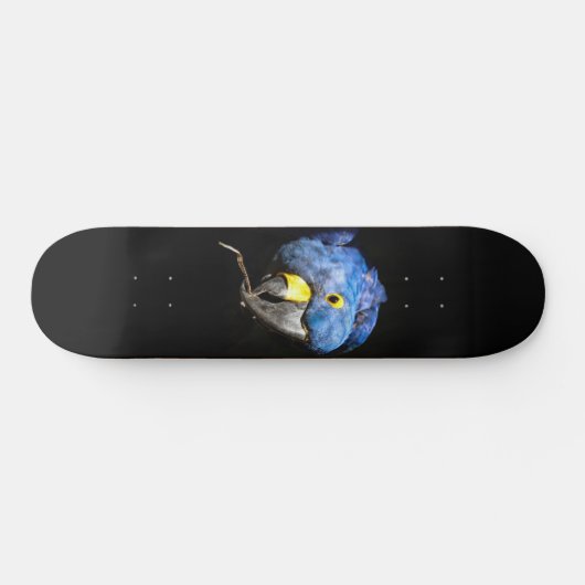 Blue Macaw Skateboard (Horizontal)