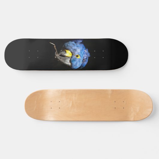 Blue Macaw Skateboard (Horizontal)