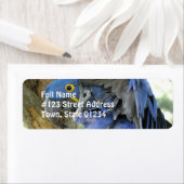 Blue Maccaw Rücksendeadresse (Insitu)