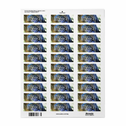 Blue Maccaw Rücksendeadresse (Vorne)