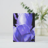 Blue Magnolia Postkarte (Stehend Vorderseite)