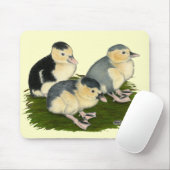 Blue Magpie Ducklings Mousepad (Mit Mouse)