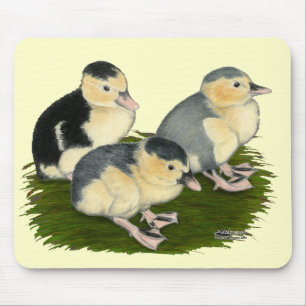 Blue Magpie Ducklings Mousepad