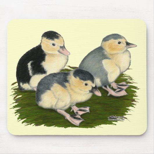 Blue Magpie Ducklings Mousepad (Vorne)